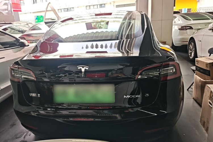 Tesla Model 3 2020 car image #6