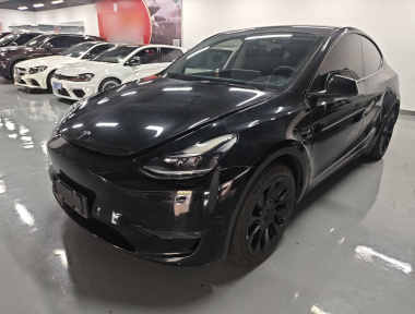 Tesla Model Y 2021 Tesla Model Y 2021 car image