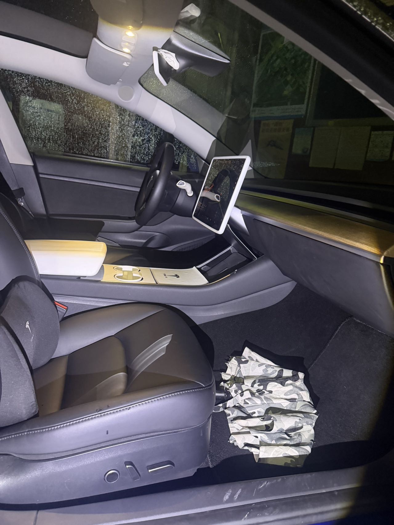 Tesla Model 3 2020 #14 Tesla Model 3 2020 car image #14