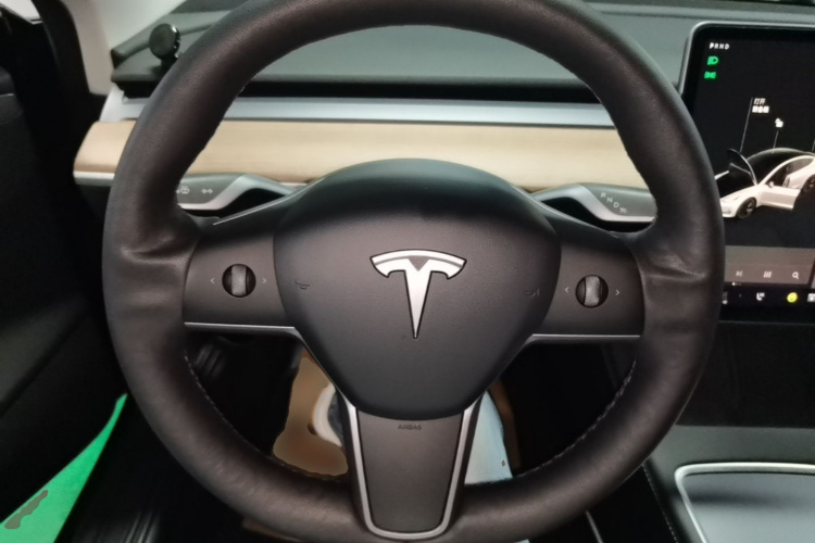 Tesla Model 3 2021 immagine di auto #11