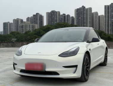 Tesla Model 3 2021 car image 