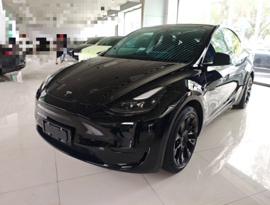 Tesla Model Y 2022 Tesla Model Y 2022 car image