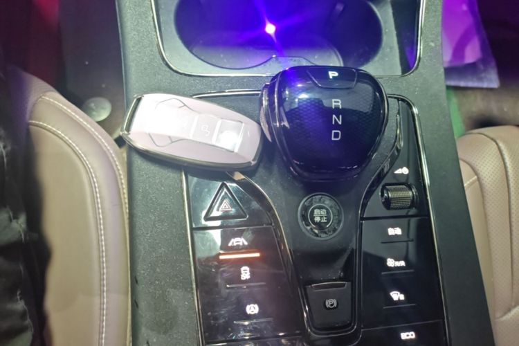 BYD Han 2022 #14 BYD Han 2022 immagine di auto #14