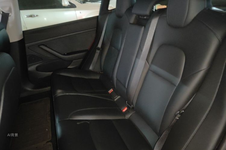 Tesla Model 3 2020 car image #19
