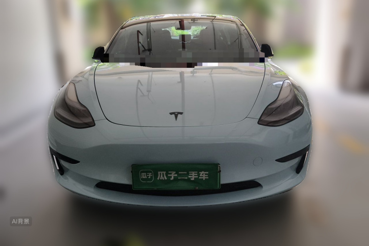 Tesla Model 3 2021 car image #3