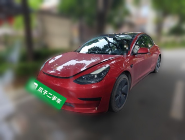 Tesla Model 3 2021 Tesla Model 3 2021 car image