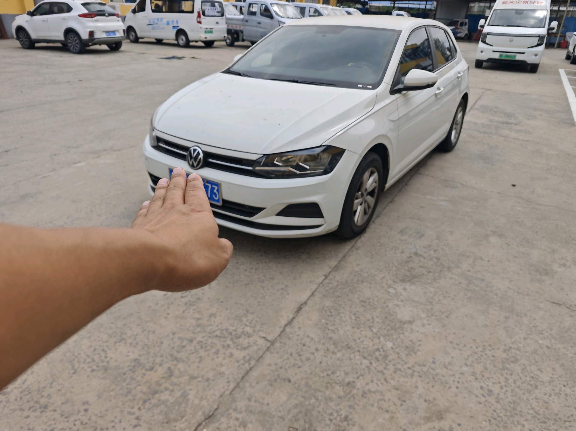 Volkswagen Polo 2023 Volkswagen Polo 2023 car image