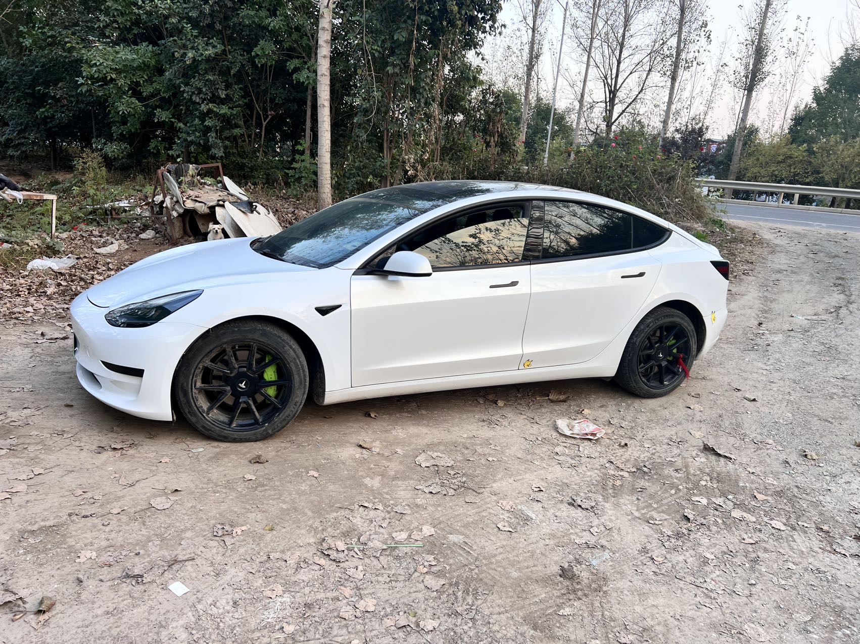 Tesla Model 3 2021 car image #2