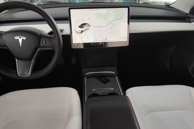 Tesla Model 3 2021 car image #14