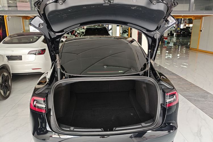 Tesla Model 3 2022 #19 Tesla Model 3 2022 car image #19