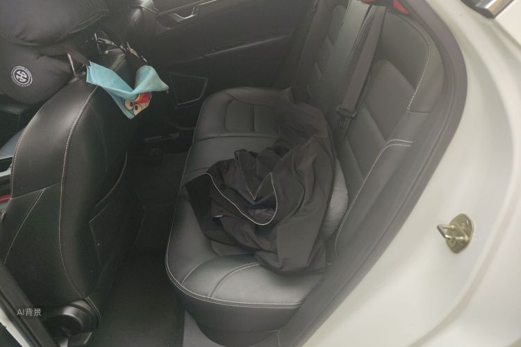 GEELY Emgrand GS 2019 imagen de coche #19