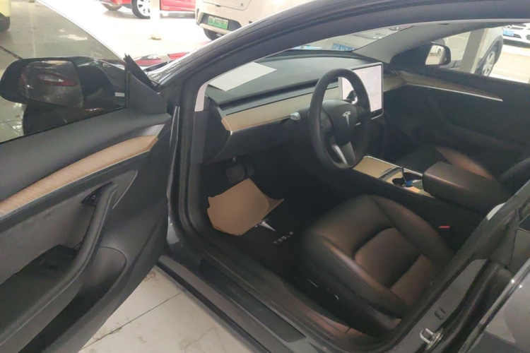 Tesla Model 3 2021 car image #16