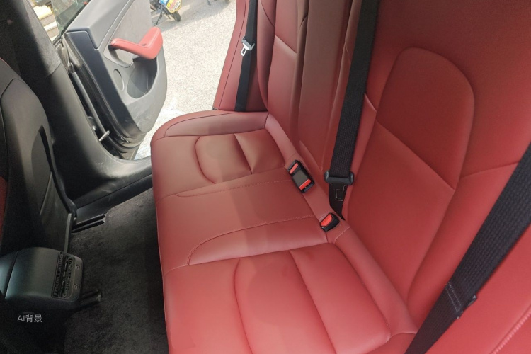 Tesla Model 3 2023 car image #19