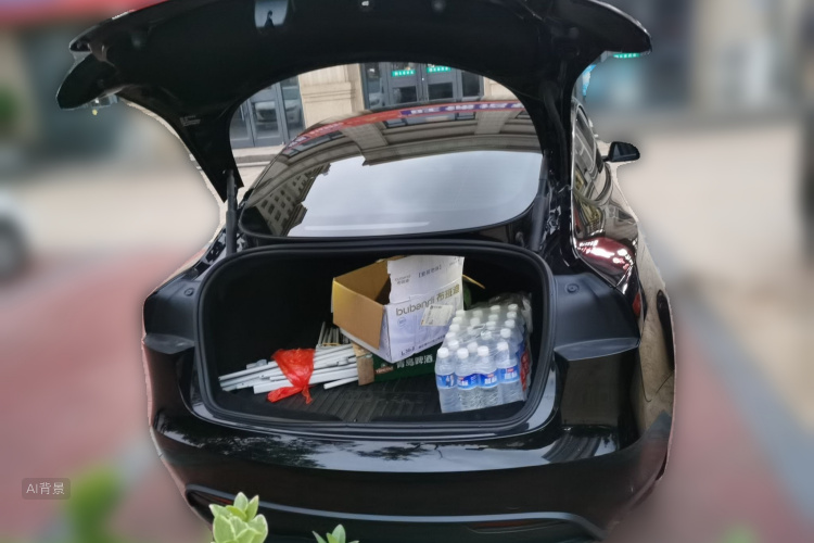 Tesla Model 3 2025 car image #21