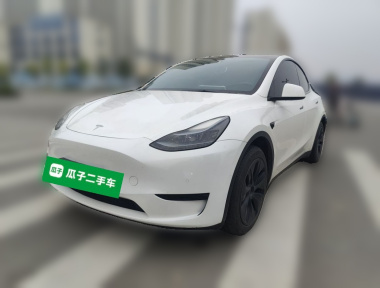 Tesla Model Y 2023 Tesla Model Y 2023 car image
