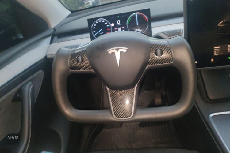 Tesla Model Y 2024 car image #12