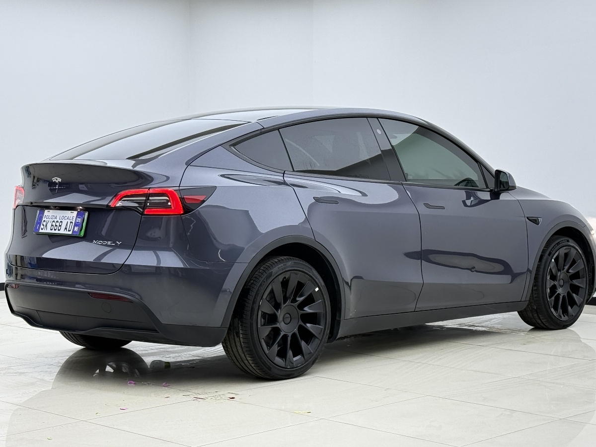 Tesla Model Y 2021 #7 Tesla Model Y 2021 car image #7