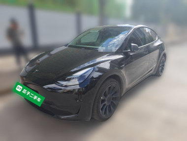 Tesla Model Y 2023 car image 