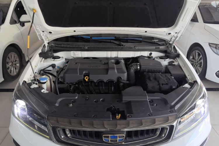 GEELY Emgrand 2019 imagen de coche #20