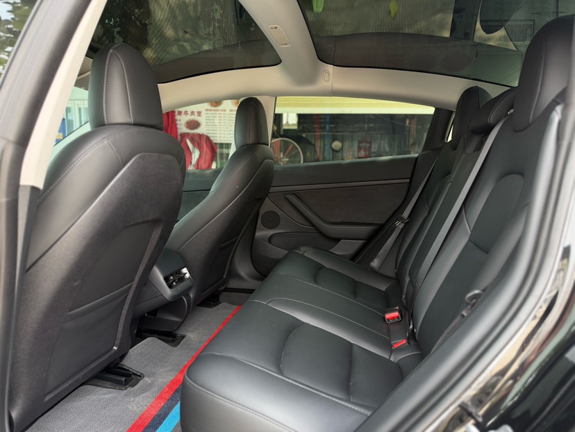 Tesla Model 3 2023 car image #8