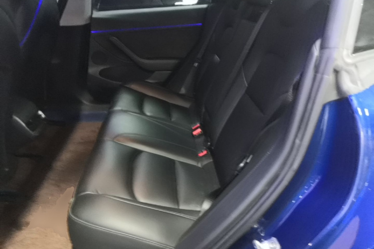 Tesla Model 3 2021 #17 Tesla Model 3 2021 car image #17