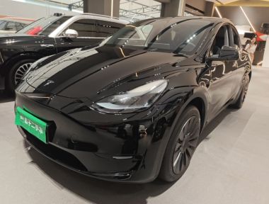 Tesla Model Y 2023 Tesla Model Y 2023 car image