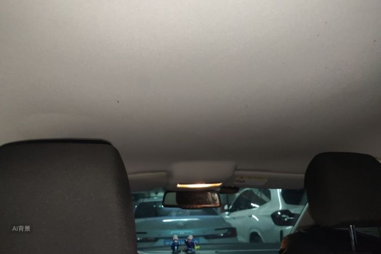 Volkswagen Polo 2015 car image #20