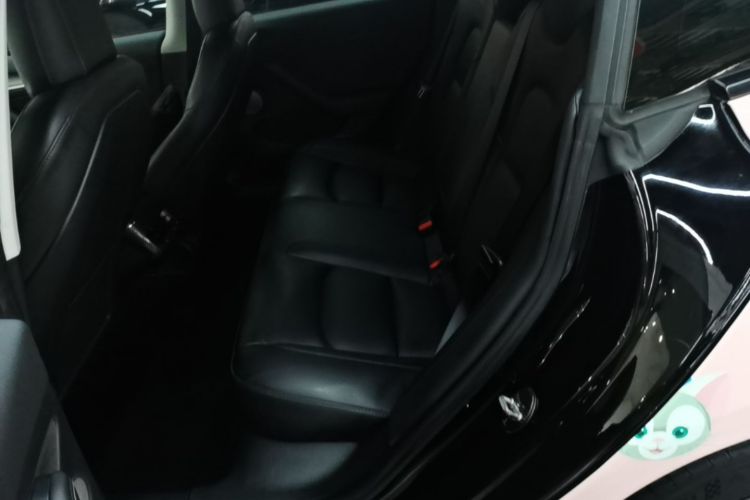 Tesla Model 3 2021 #13 Tesla Model 3 2021 immagine di auto #13