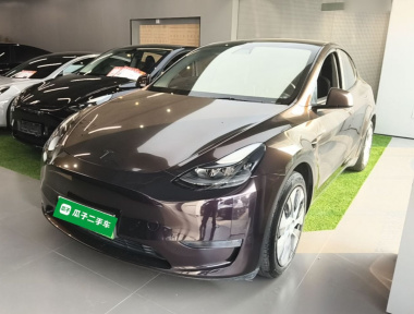 Tesla Model Y 2021 Tesla Model Y 2021 imagen de coche