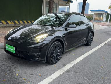 Tesla Model Y 2021 Tesla Model Y 2021 immagine di auto