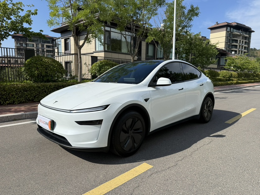 Tesla Model Y 2025 immagine di auto 