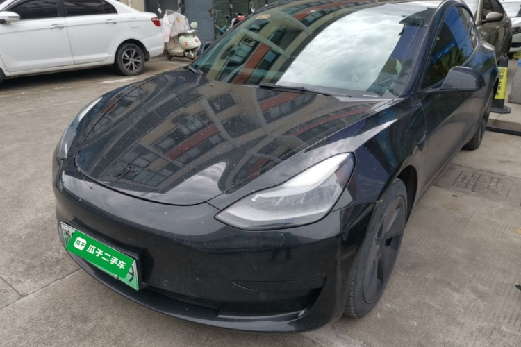 Tesla Model 3 2021 immagine di auto #2