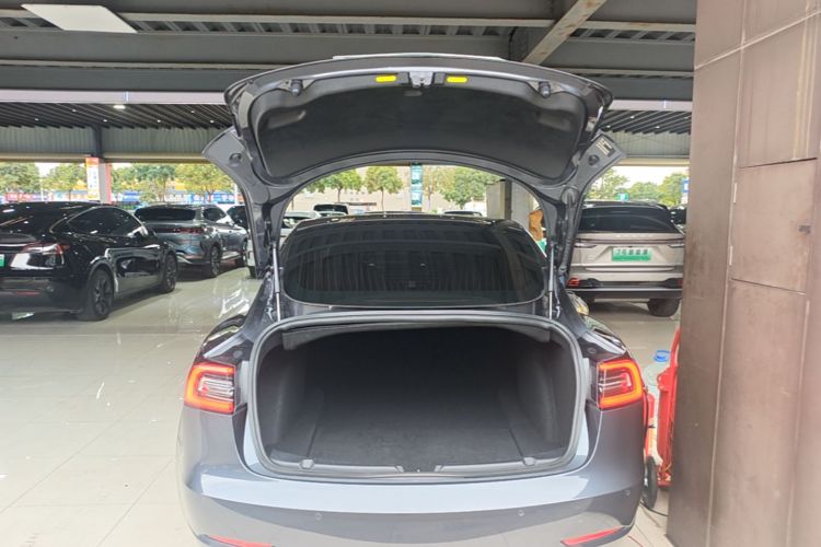 Tesla Model 3 2020 #19 Tesla Model 3 2020 car image #19