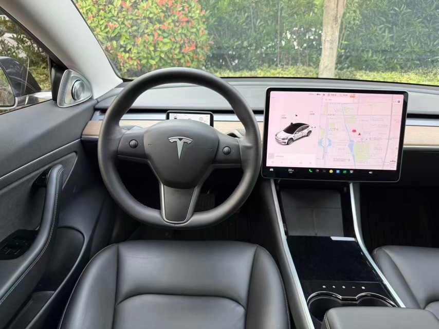 Tesla Model 3 2021 #9 Tesla Model 3 2021 car image #9