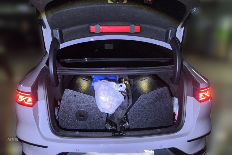 BYD Han 2024 car image #21