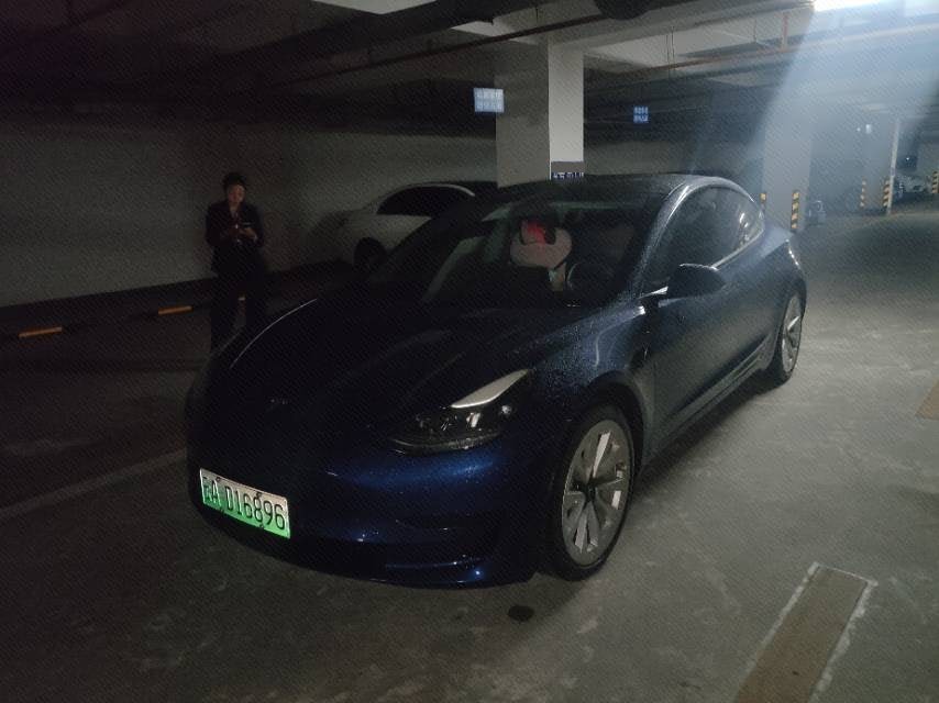 Tesla Model 3 2021 car image 