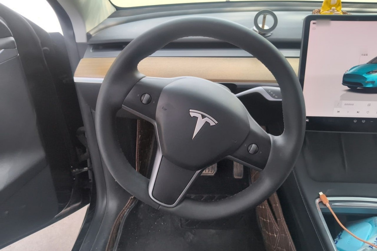 Tesla Model Y 2022 car image #14