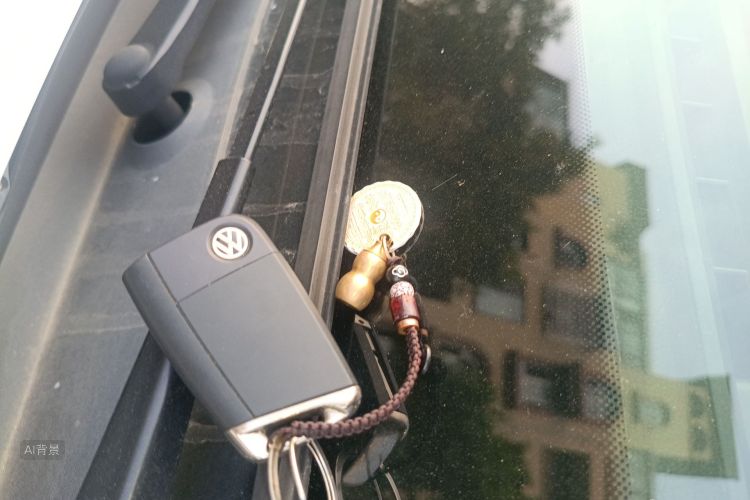 Volkswagen Tharu 2019 car image #10