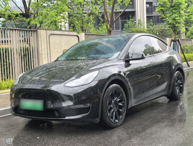 Tesla Model Y 2021 Tesla Model Y 2021 car image