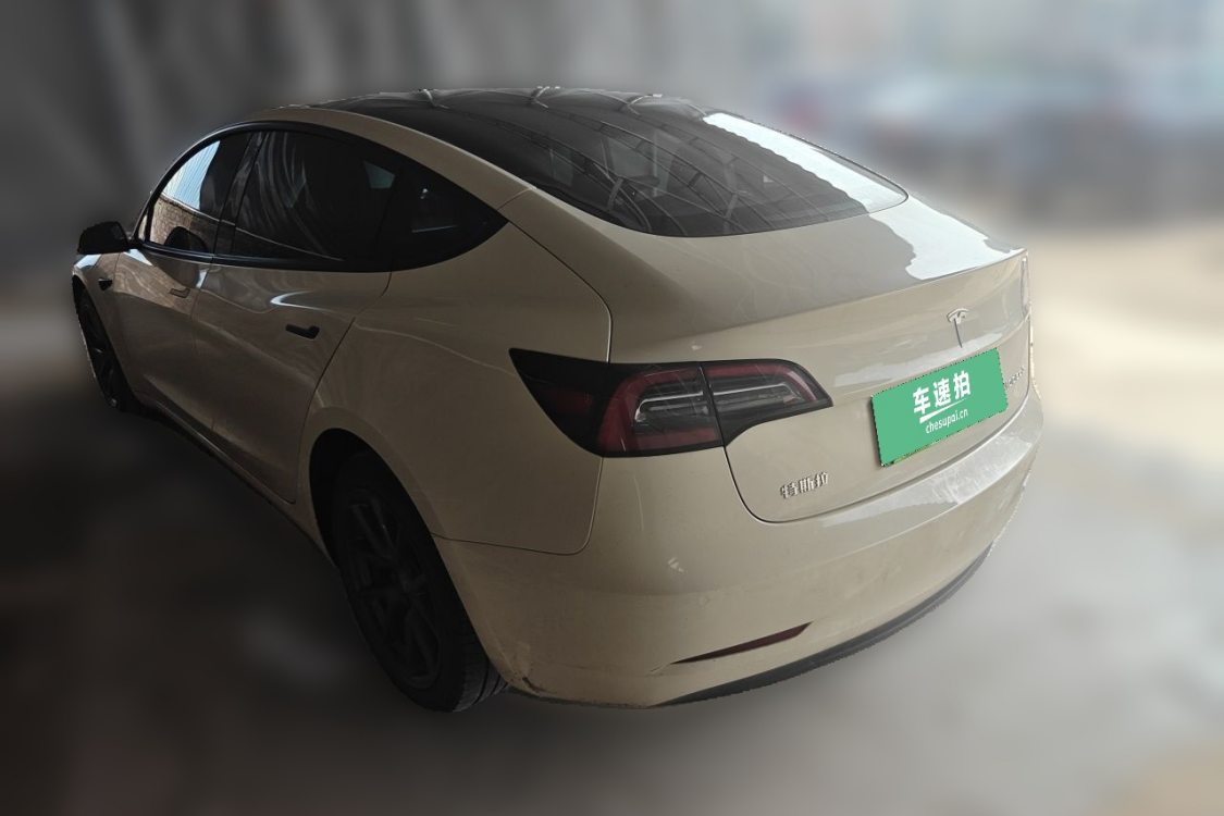 Tesla Model 3 2021 car image #3