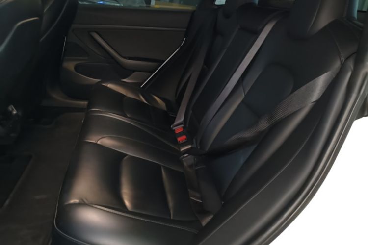 Tesla Model 3 2020 car image #17