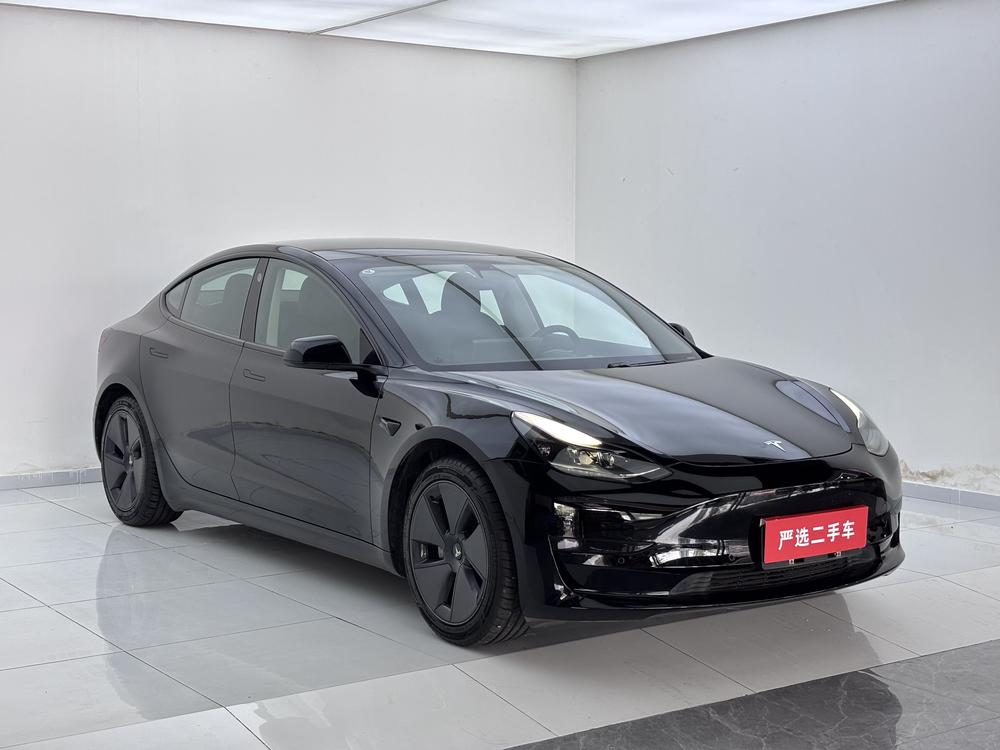 Tesla Model 3 2021 #3 Tesla Model 3 2021 car image #3