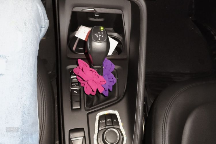 BMW X1 2016 car image #16