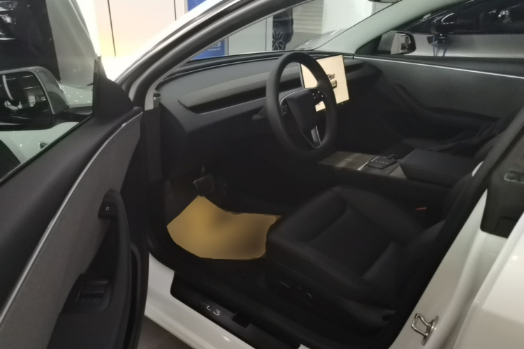 Tesla Model 3 2024 car image #16