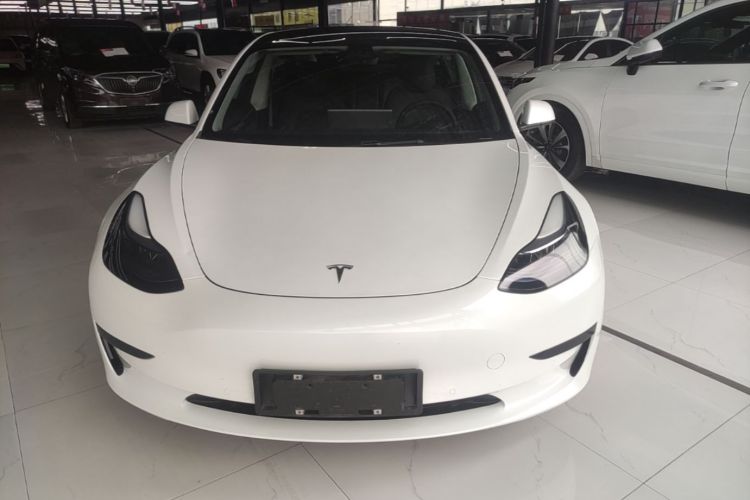 Tesla Model 3 2023 #3 Tesla Model 3 2023 car image #3