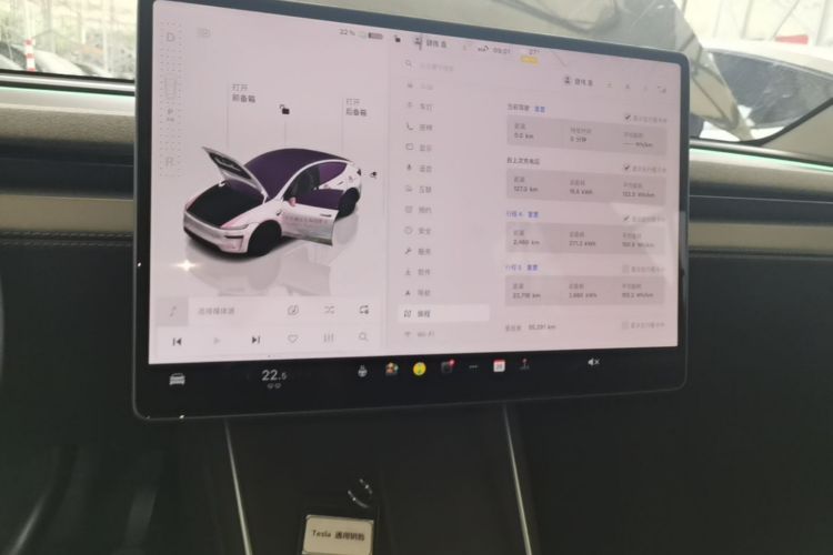 Tesla Model Y 2025 #13 Tesla Model Y 2025 imagem de carro #13