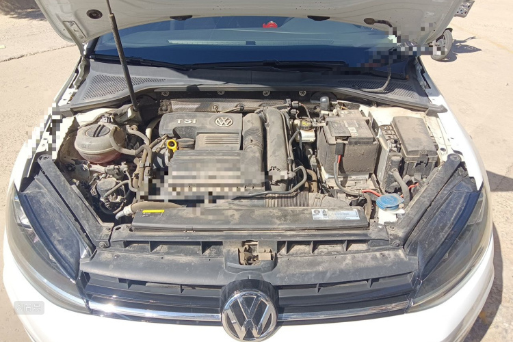 Volkswagen Golf 2019 car image #22