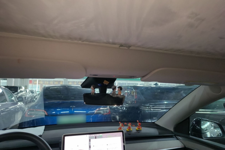 Tesla Model Y 2023 #18 Tesla Model Y 2023 car image #18