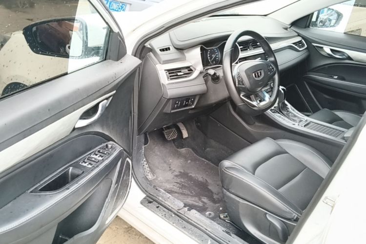 GEELY Emgrand 2019 immagine di auto #12