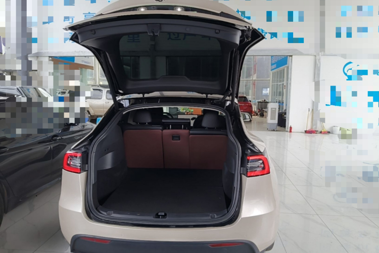Tesla Model Y 2022 car image #19